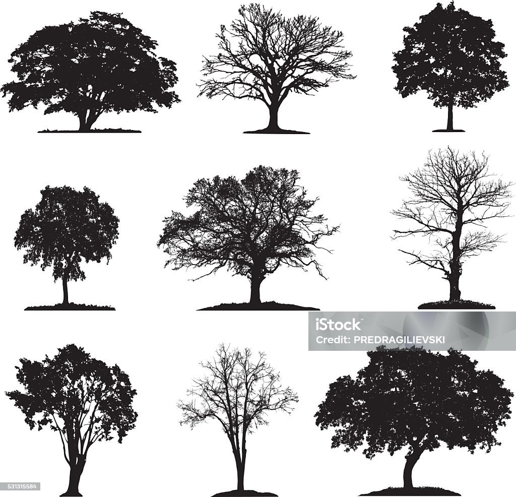 silhouette des arbres de collection - clipart vectoriel de Arbre libre de droits