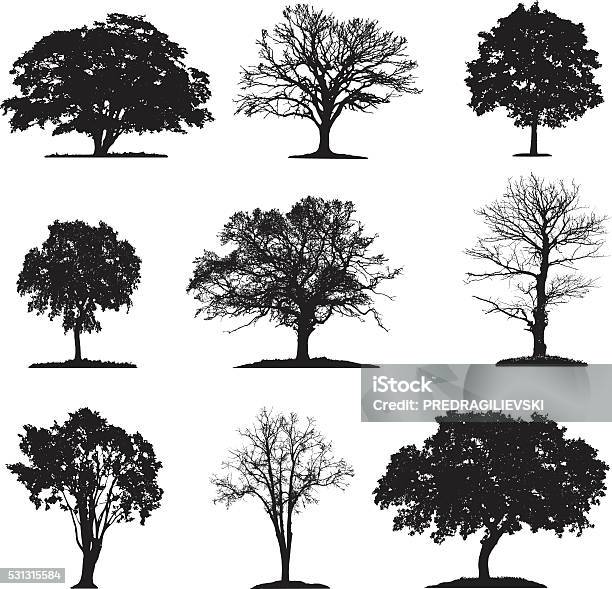 Silhouette Des Arbres De Collection Vecteurs libres de droits et plus d'images vectorielles de Arbre - Arbre, Silhouette - Contre-jour, Vectoriel