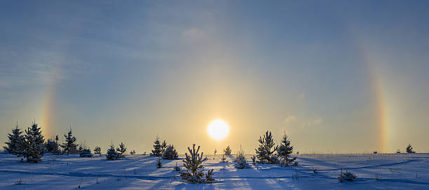 istock Winter sun halo in forest on field 531316468