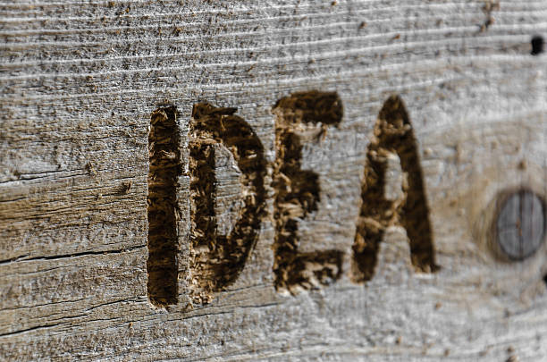 istock Idea word carved into the old board or wood 531316910