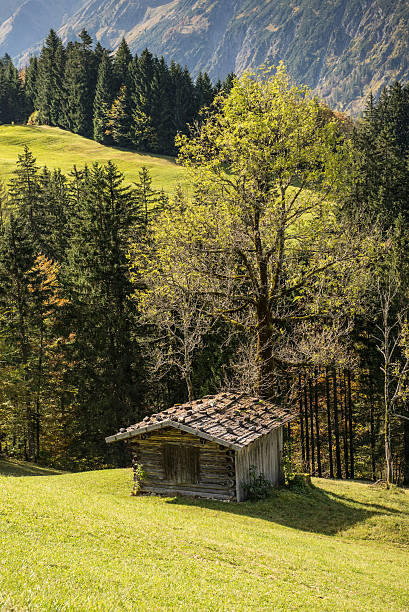 istock Wooden cabin in a Bavarian valley 531317529