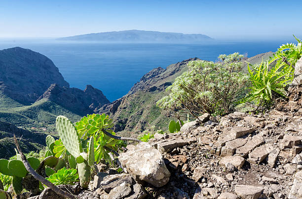 la gomera - anoxia zdjęcia i obrazy z banku zdjęć