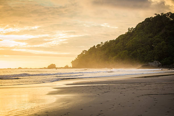 istock Sunset beach in Costa Rica 531318933