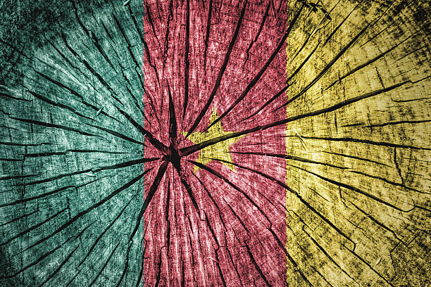 istock Flag of Cameroon 531319047