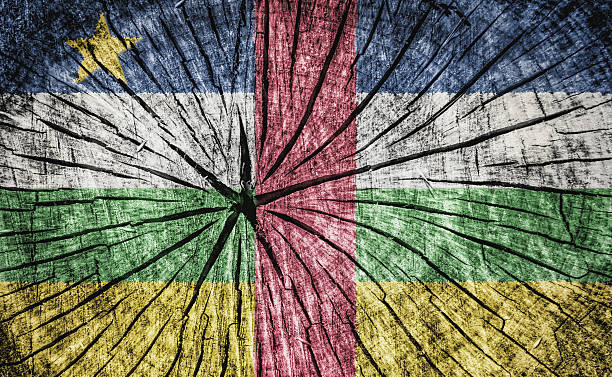 istock flag of the Central African Republic 531320059