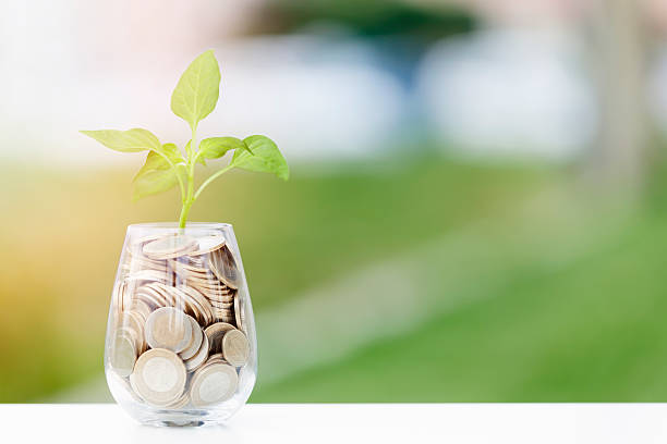 istock Coins and seed in clear glass on table 531320154