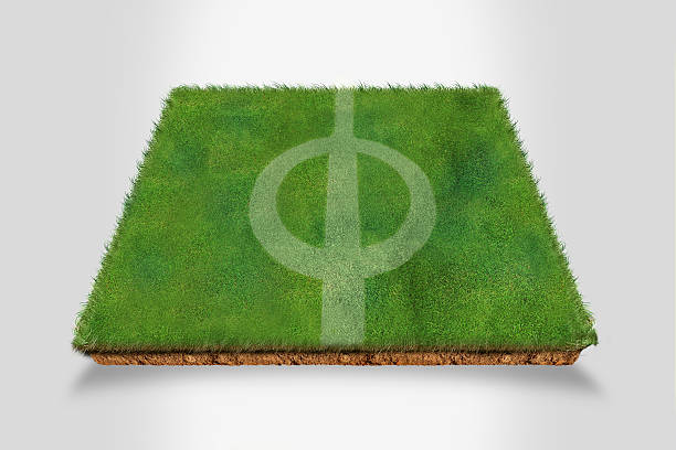 Football Pitch on Grass Turf