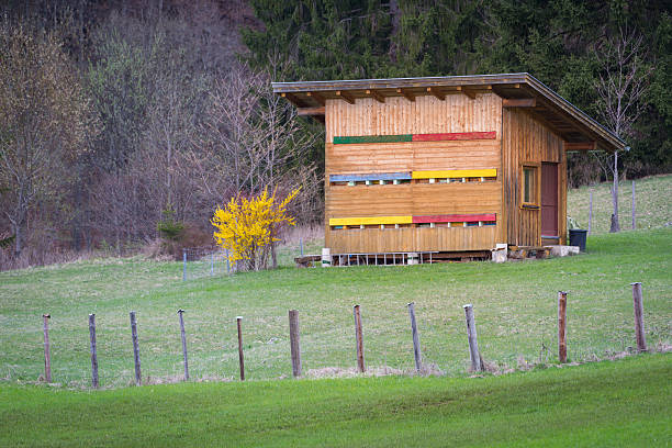 istock wooden beehouse in meadow next to forest 531321352