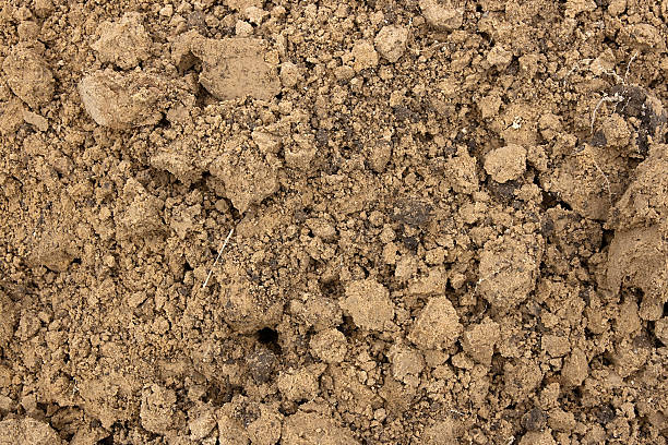 istock Sand background. Texture of bright sand. 531322416