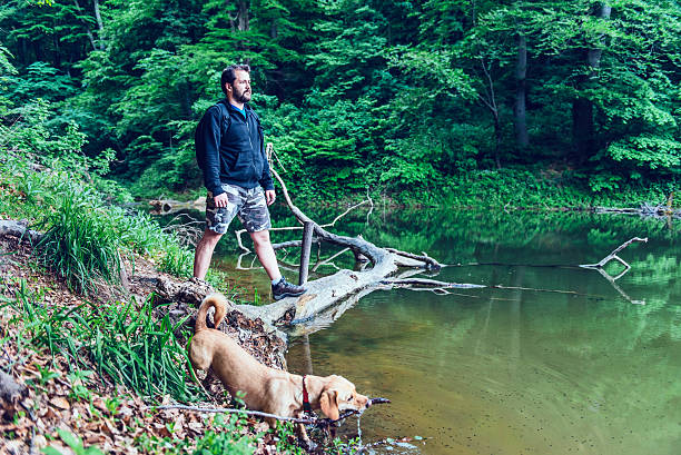 istock Man standing on tree log and looking at distance 531323638