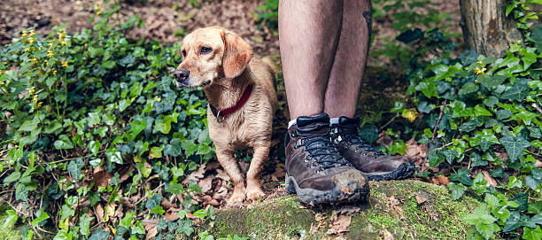 istock Dog and his owner standing on the rock 531324704