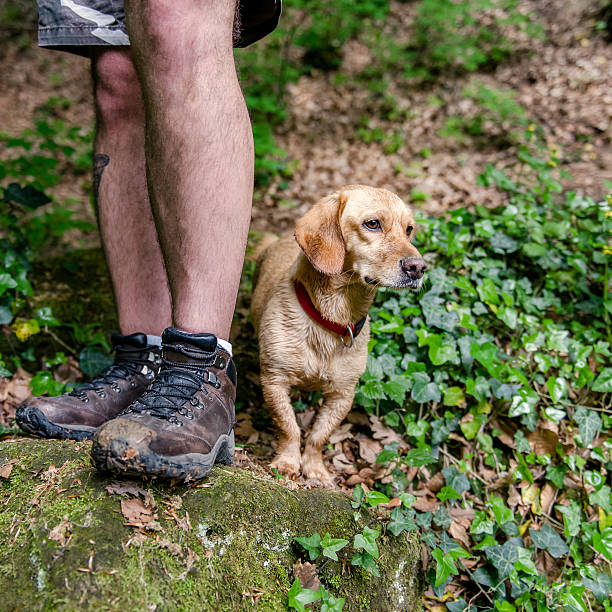 istock Dog and his owner standing on the rock 531324788