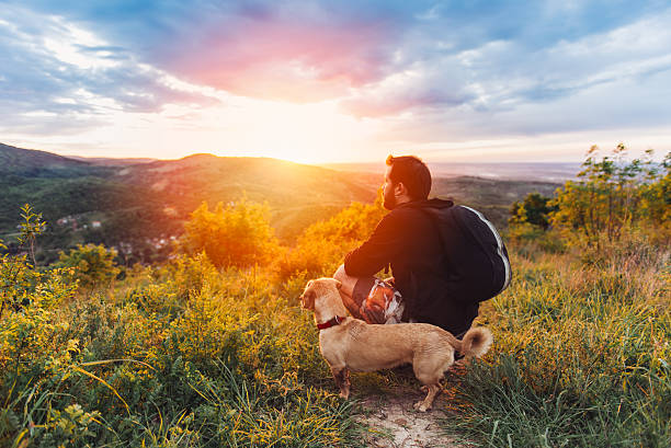 homme avec chien appréciant coucher de soleil sur la montagne - side of flash photos et images de collection