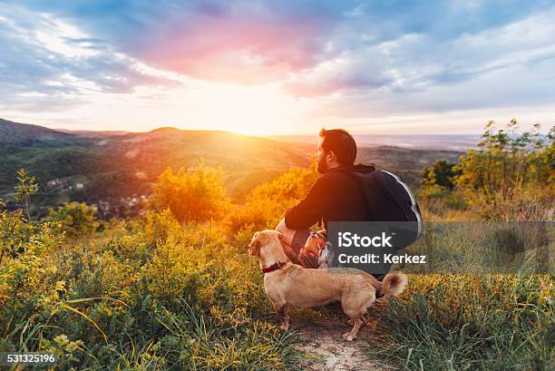 Man With Dog Enjoying Mountain Sunset Stock Photo - Download Image Now - Dog, Hiking, Men