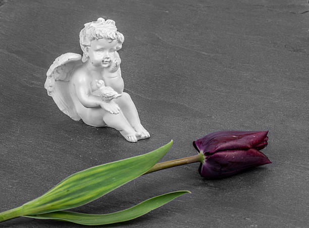 istock Angel and a tulip on a gray background 531325340