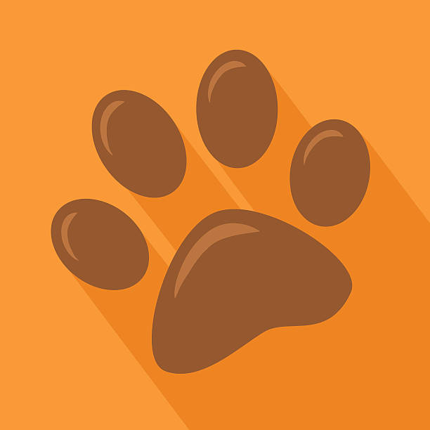 Cartoon Dog Paw Print Pictures Illustrations, Royalty-Free Vector Graphics  & Clip Art - iStock