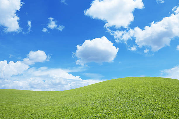istock green field with blue sky 531327881