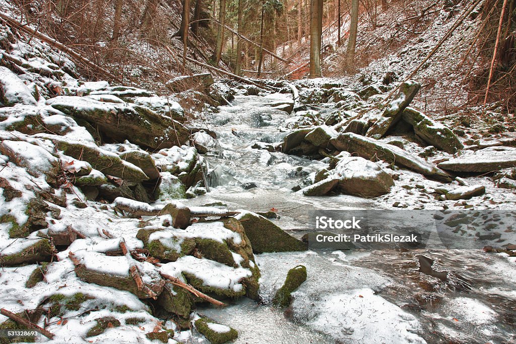 winter creek in  the valley in  parkland winter creek in  the valley in the  parkland in February 2015 Stock Photo