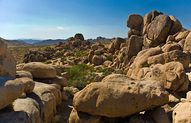 istock scenic rocks in Joshua Tree National Park 531328741