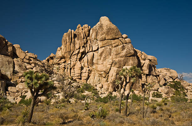 istock scenic rocks in Joshua Tree National Park 531328745