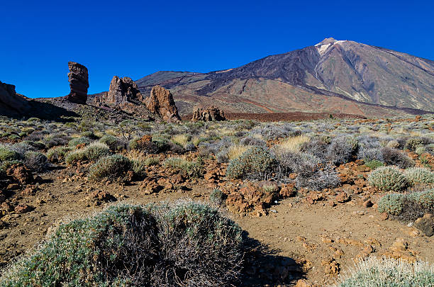 los roques en el teide, tenerife - anoxia fotografías e imágenes de stock