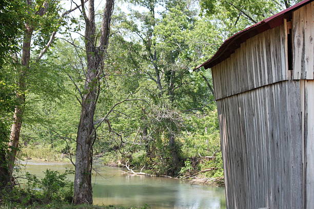 istock Scenic view of a country river. 531329953