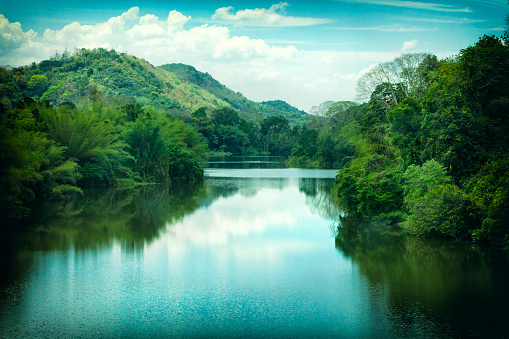 The Periyar River in Kerala, India.