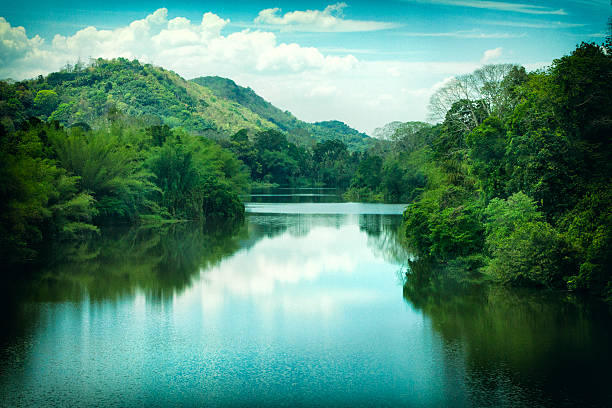 Periyar River in Kerala, India The Periyar River in Kerala, India. Rivers Day stock pictures, royalty-free photos & images