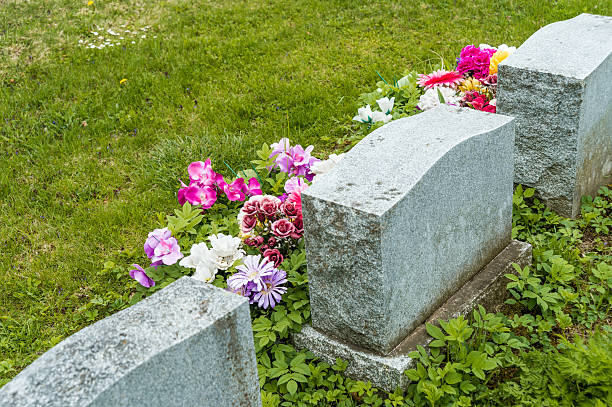 istock Headstones in a cemetary with many red tulips 531331718