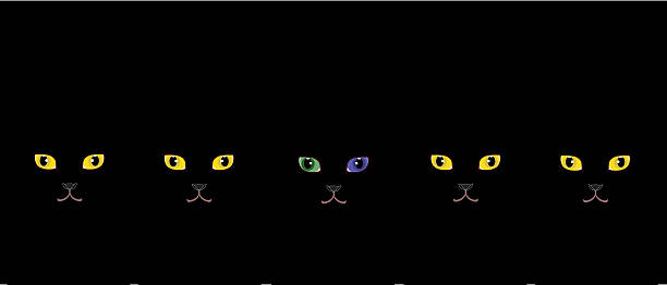 желтый eyed с черными котами и необычными рассматривал black cat - ostracized stock illustrations