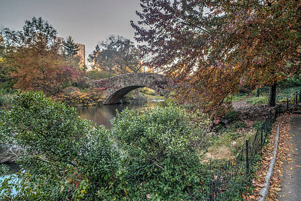 istock Gapstow bridge Central Park, New York City 531332397
