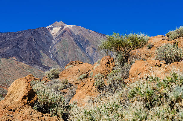 teide en tenrife - anoxia fotografías e imágenes de stock