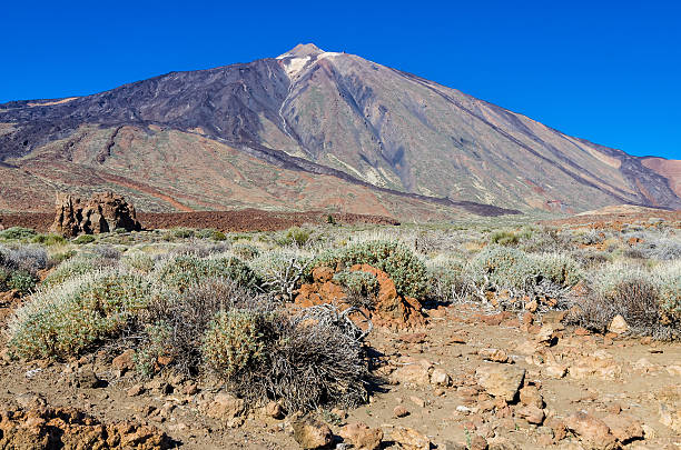 teide na tenrife - anoxia zdjęcia i obrazy z banku zdjęć