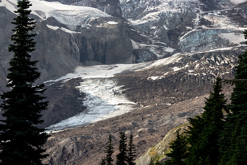 Nisqually Glacier in Mt.Rainier National park in Washington, USA in summer
