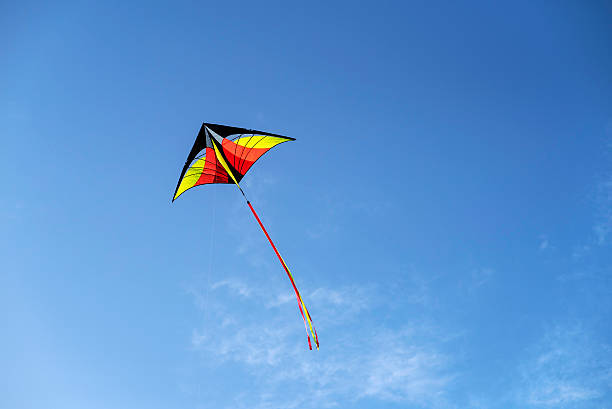 istock Colorful kite is flying in a blue sky 531334020
