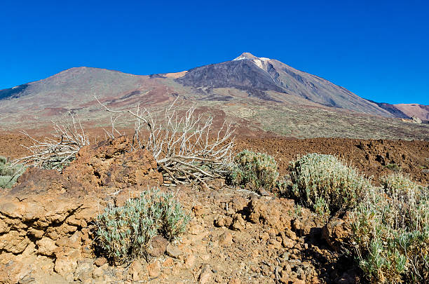 teide na tenrife - anoxia zdjęcia i obrazy z banku zdjęć