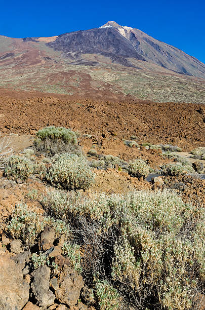 teide en tenrife - anoxia fotografías e imágenes de stock