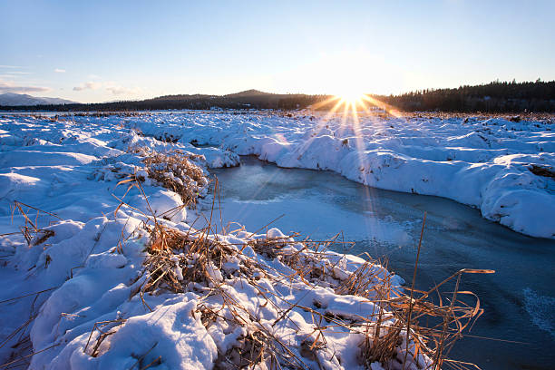 istock Winterscape late in the day. 531345587