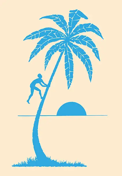 Vector illustration of Man Climbing Palm Tree