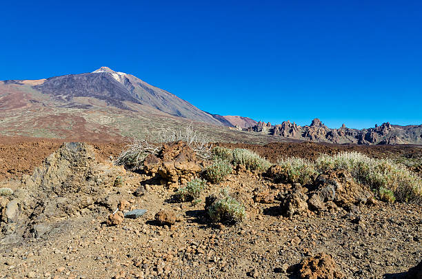 teide na tenrife - anoxia zdjęcia i obrazy z banku zdjęć