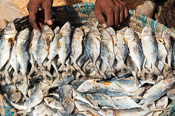istock Sun dried Fish at Goa Market 531345931