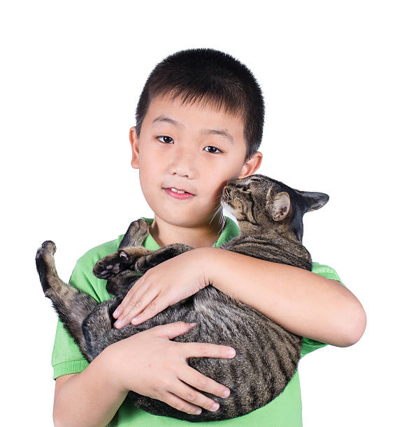 istock boy hugging with his tiger cat isolated on white background 531347951