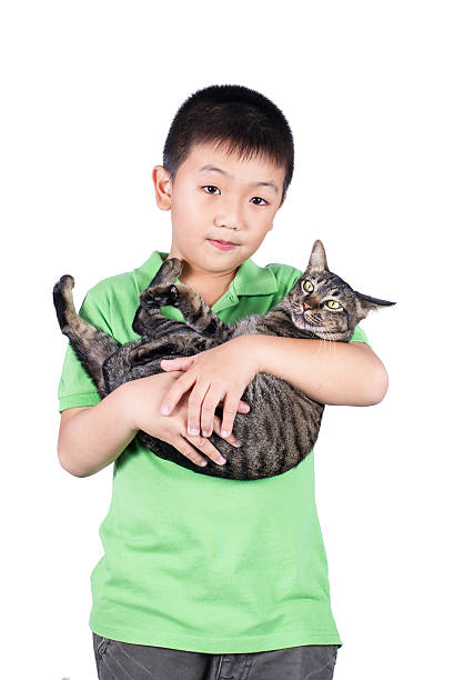 istock boy hugging with his tiger cat isolated on white background 531347957