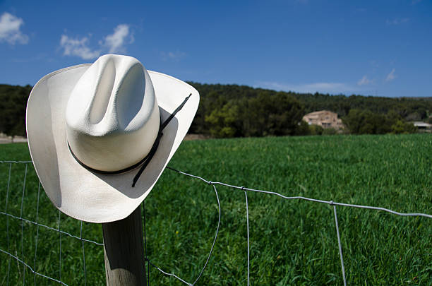 istock Cowboy hat on a fence 531350419