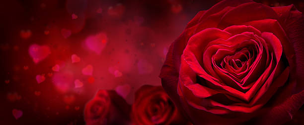 istock red rose with hearts for Valentines day 531356557