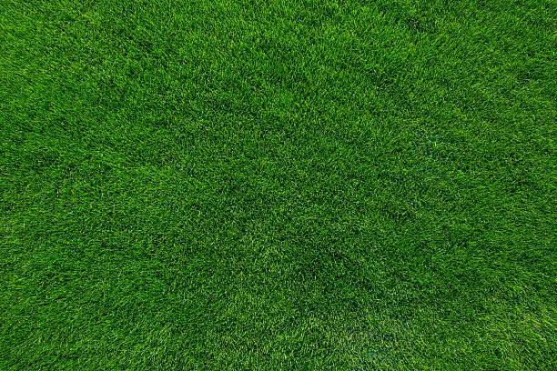 Photo of Green grass field