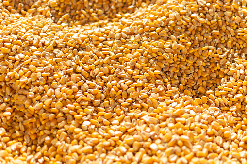 Millions of corn kernels fill the frame for a great background. Focus is sharp in the middle, softening in the background and foreground. A great image for information about corn in our diet and industrial uses.