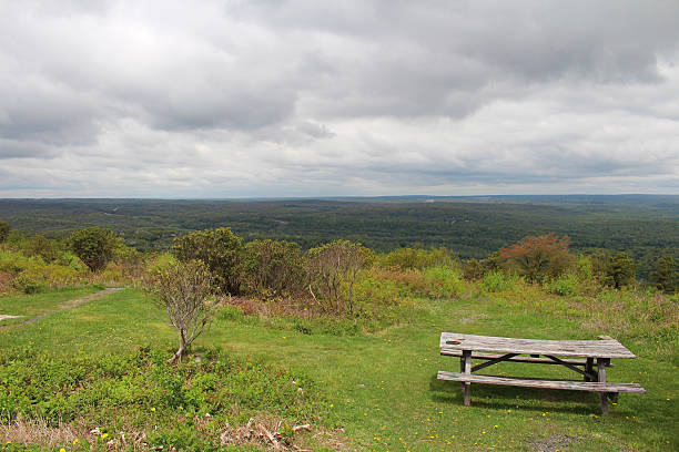 istock Old bench in the nature 531360525