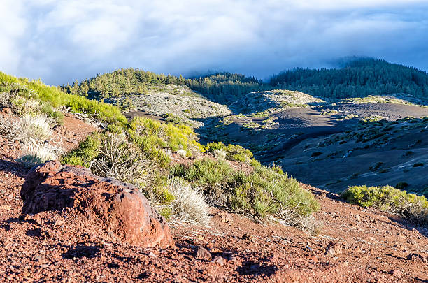 tenerife - anoxia fotografías e imágenes de stock