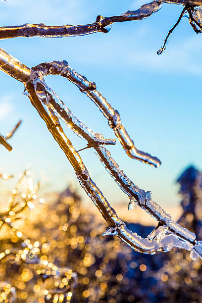 istock sunrise under the winter calm mountain landscape 531361335